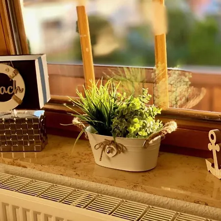 Land Am Teich- Reet Gedeckt - Ostseenah - Bei Binz Zirkow