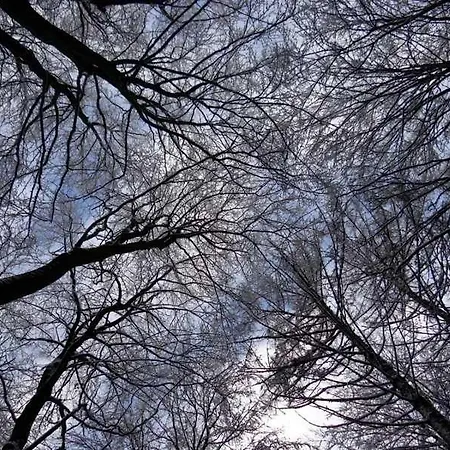 Apartament Land Am Teich- Reet Gedeckt - Ostseenah - Bei Binz *